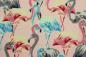 Preview: Modal - Flamingo - apricot-rosa